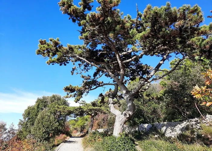 Ai Tre Sentieri Apartman